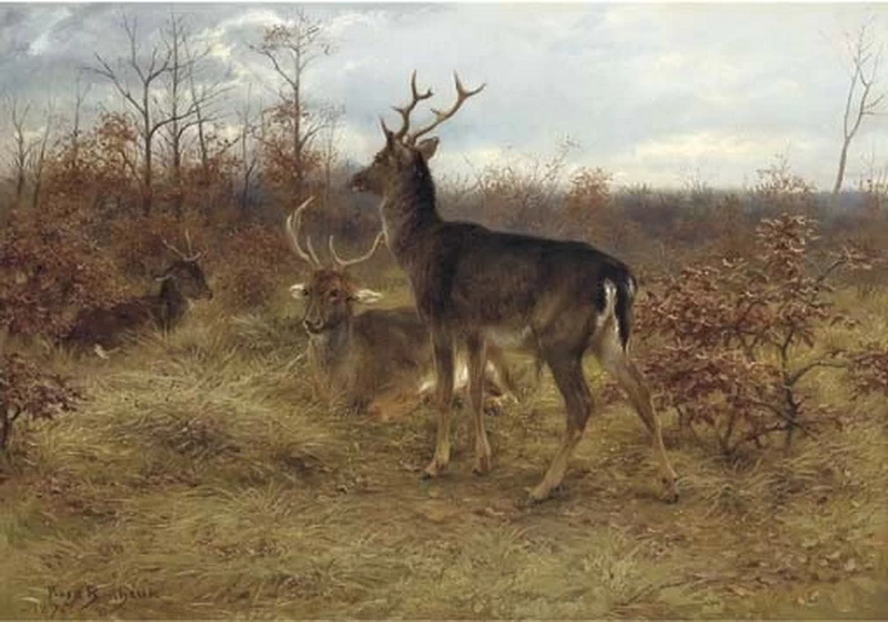 Tre cervi in un bosco